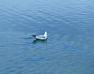 Прикрепленное изображение: bDSCF5907.jpg